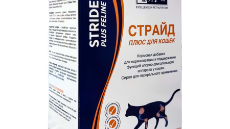Порошок Страйд: мощное оружие в борьбе с загрязнениями