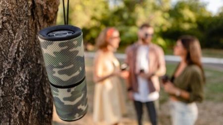 Портативная колонка JBL Link Music для любителей музыки